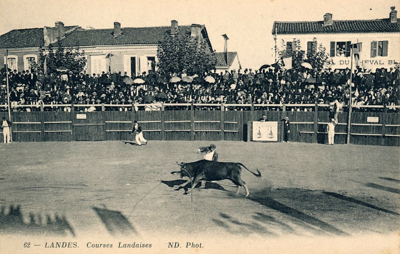 Carte postale ancienne Landes - Courses Landaises 2