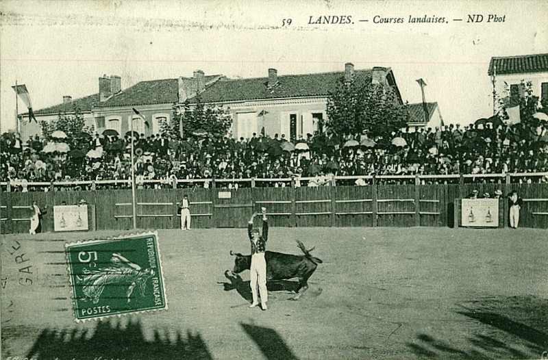 Carte postale ancienne Landes - Courses Landaises 3