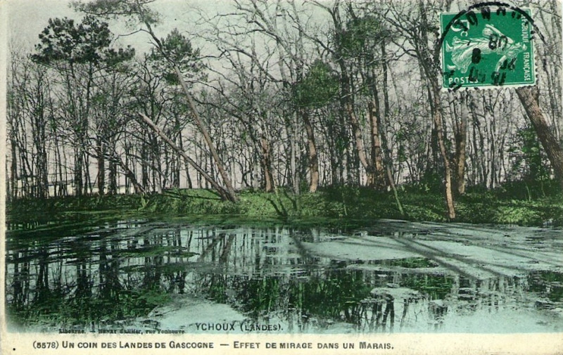 Carte postale ancienne Ychoux - un marais