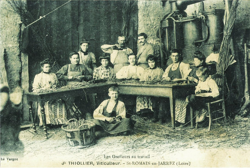 Carte postale ancienne Saint-Romain en Jarez greffeurs