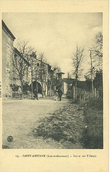 Carte postale ancienne Route des tilleuls