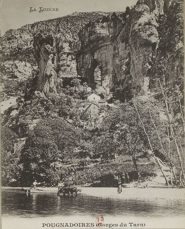 Carte postale ancienne Carte postale de Lozère - Pougnadoires (Gorges du Tarn)