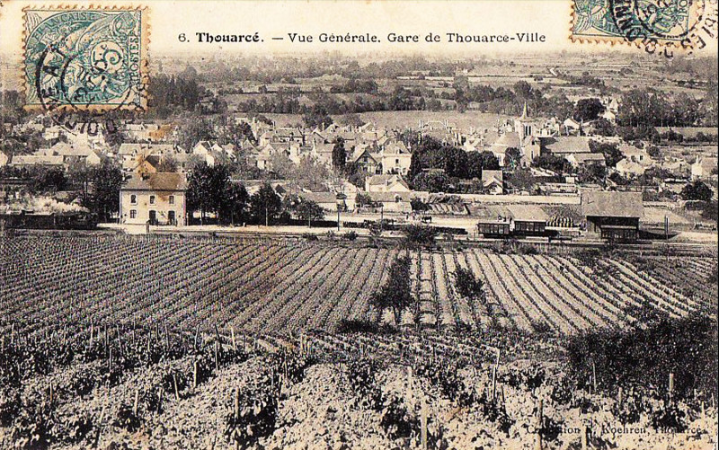Carte postale ancienne Thouarcé coteau de Beauregard Vignoble de Bonnezeaux