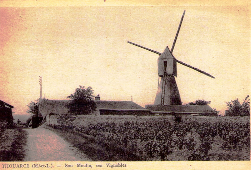 Carte postale ancienne Thouarcé Moulin et vignoble de Bonnezeaux