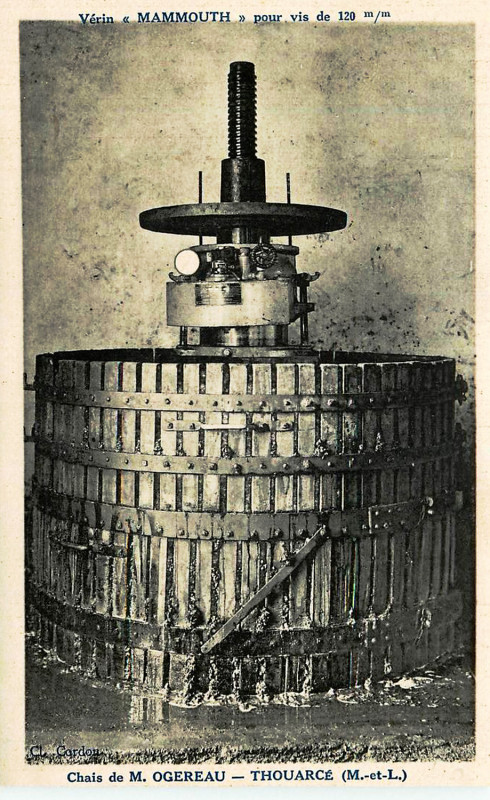 Carte postale ancienne Thouarcé pressoir