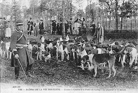 Carte postale ancienne Cerisy-la-foret chasse courre 1920 02