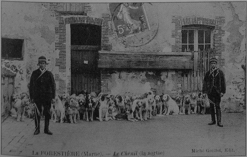 Carte postale ancienne Cp 07871 Chasse La FOrestière