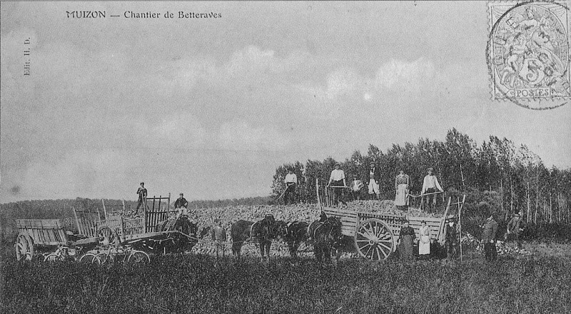 Carte postale ancienne Cp 07878 Muizon 1905