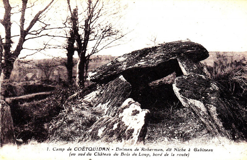 Carte postale ancienne Augan-dlm-roherman