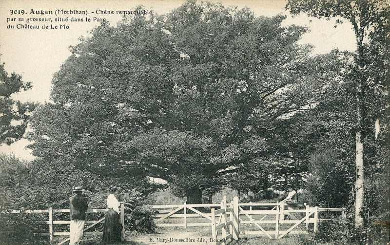 Carte postale ancienne Chenedeemo