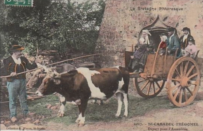 Carte postale ancienne St caradec tregomel départ assemblée