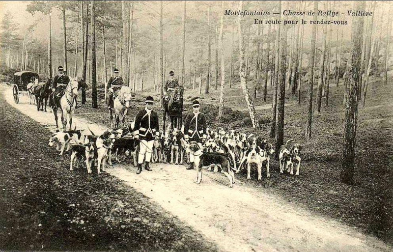Carte postale ancienne Chasse sur le domaine de Vallière