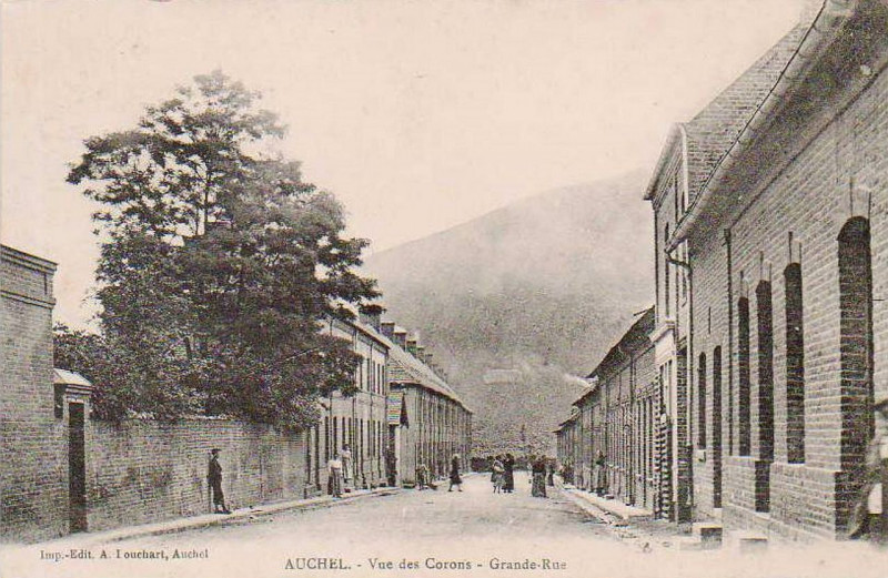 Carte postale ancienne Auchel - Vue des Corons et d'un terril