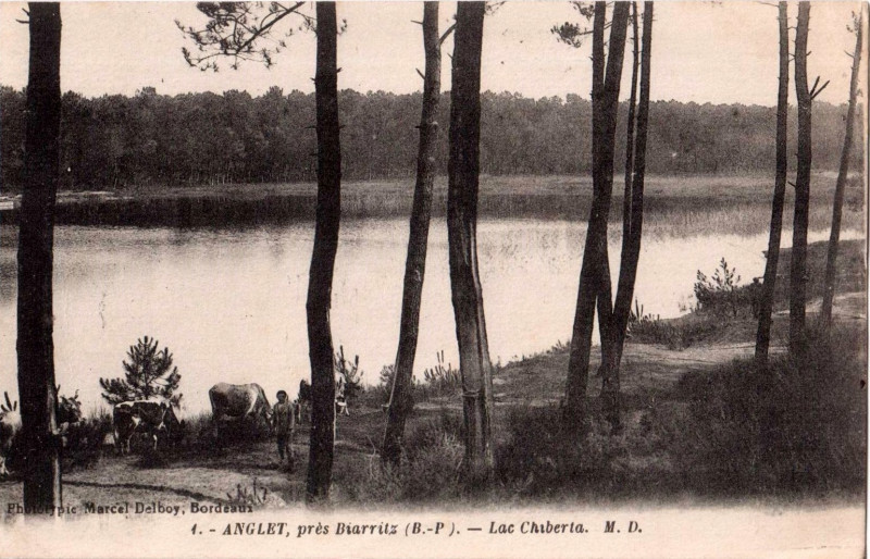Carte postale ancienne Anglet (64) - Lac Chiberta