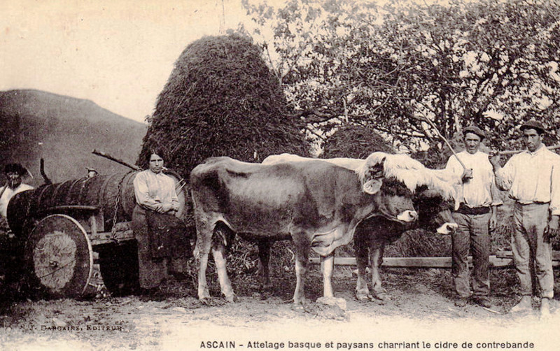 Carte postale ancienne Ascain Cidre de contrebande