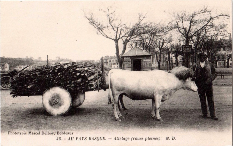 Carte postale ancienne Au Pays Basque - attelage