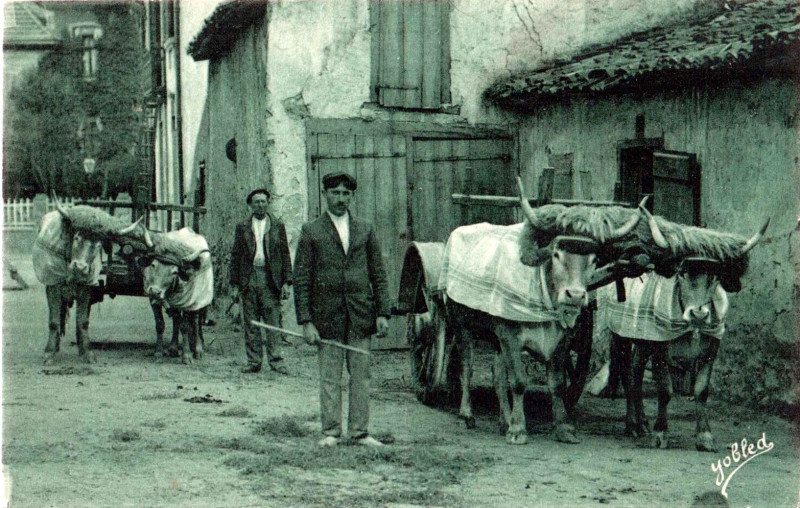 Carte postale ancienne Au Pays Basque - paysans