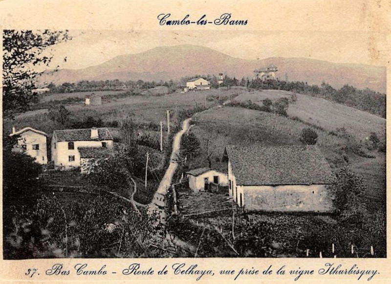 Carte postale ancienne Cambo vue de la vigne