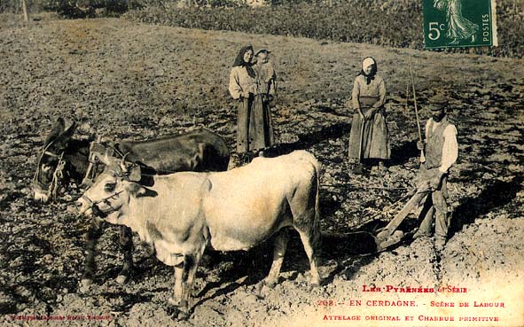 Carte postale ancienne Labour, Cerdagne