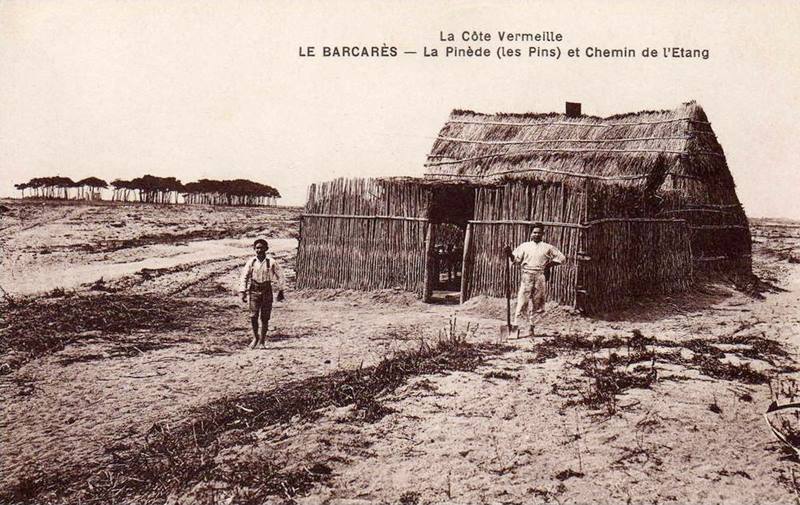 Carte postale ancienne Le Barcarès - Pinède et Chemin de l'étang (CP) au Barcarès