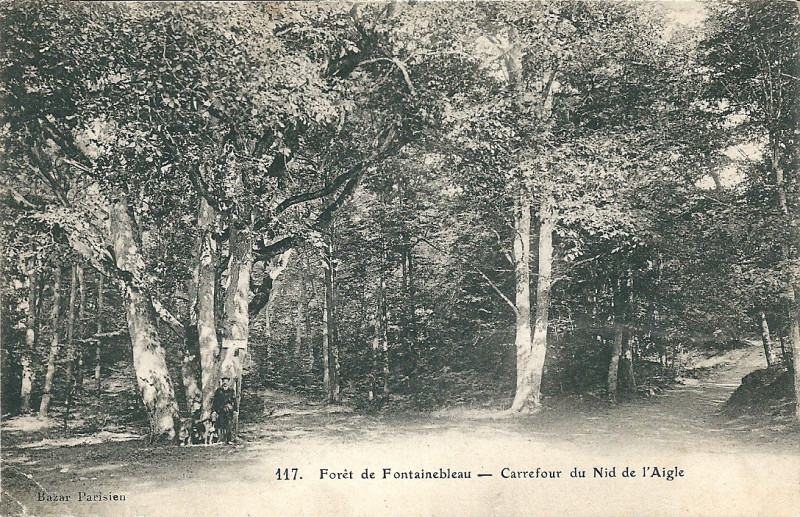 Carte postale ancienne Forêt Fontainebleau-Nid d'Aigle-1920