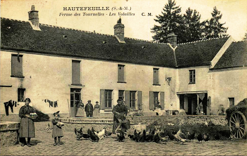Carte postale ancienne Hautefeuille élevage de volailles