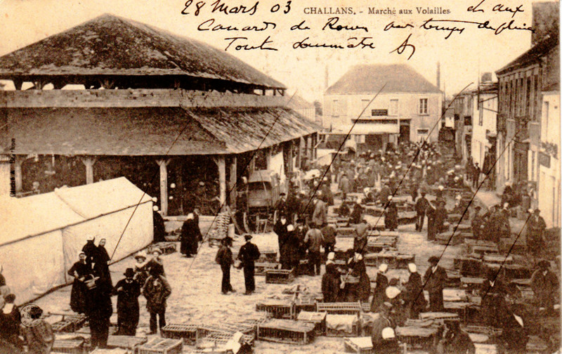 Carte postale ancienne Challans Marché aux volailles en 1903