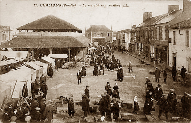 Carte postale ancienne Challans Marché aux volailles