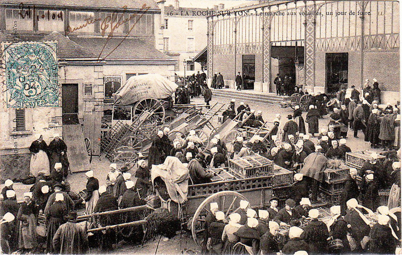Carte postale ancienne La Roche-sur-Yon Marché aux volailles