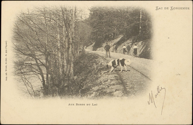 Carte postale ancienne Lac de Longemer, Aux Bords du Lac Cp 5364 PsurR