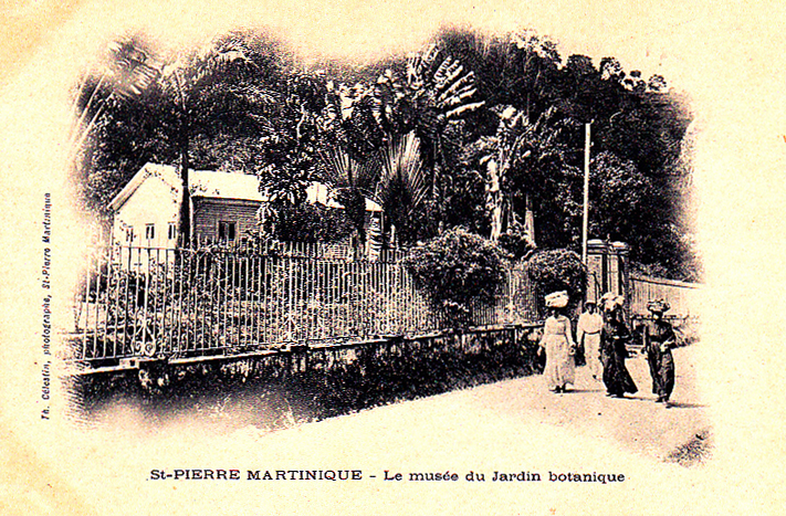 Carte postale ancienne Saint-Pierre, le musée du jardin botanique