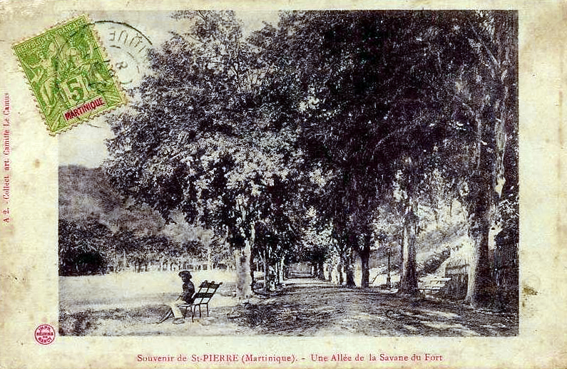 Carte postale ancienne Savane du Fort