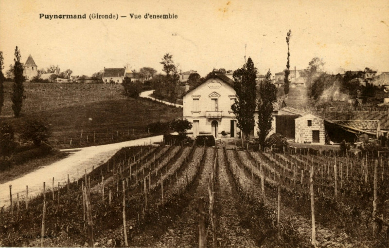 Carte postale ancienne Puynormand - vue générale 1