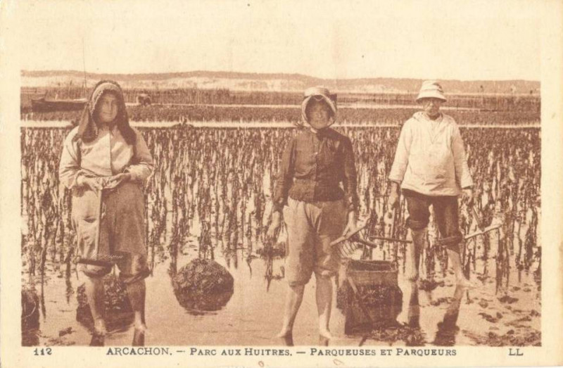 Carte postale ancienne Arcachon - parqueur et parqueuse 8