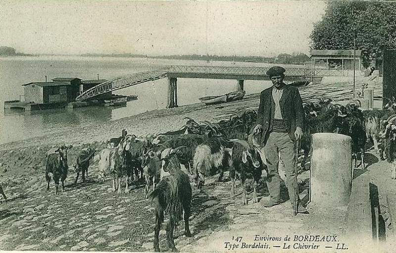 Carte postale ancienne Bordeaux - Types bordelais 21 à Bordeaux