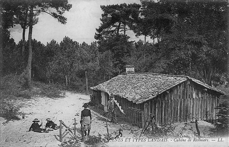 Carte postale ancienne Cabane de resiniers 2