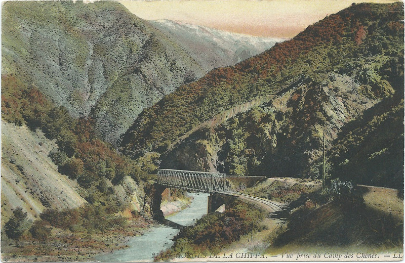 Carte postale ancienne Gorges de la Chiffa in Algeria postcard