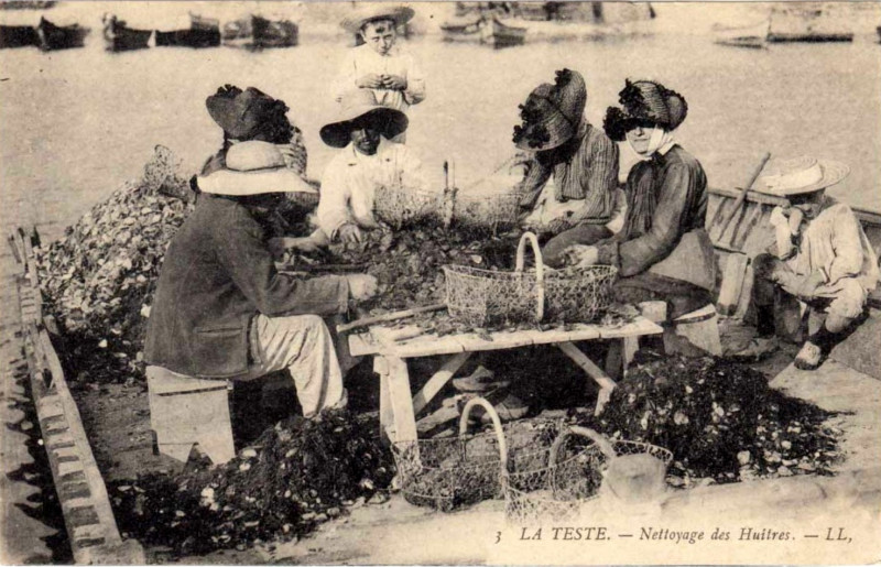 Carte postale ancienne La Teste-de-Buch - Parc aux huitres 7
