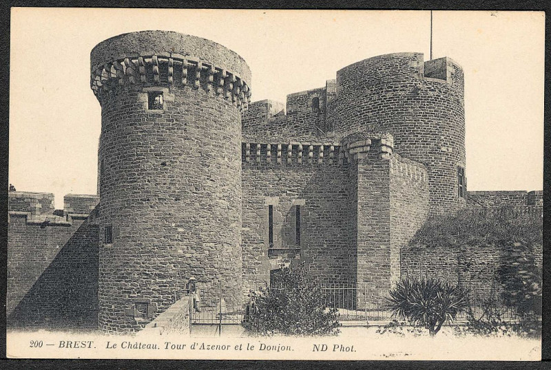 Carte postale ancienne 3Fi089-065 Le château. Tour d'Azénor et le donjon