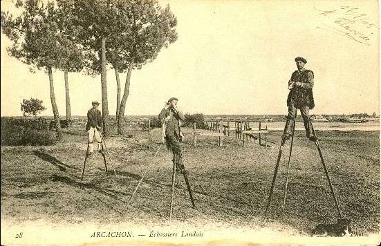 Carte postale ancienne Arcachon - Forêt berger 5