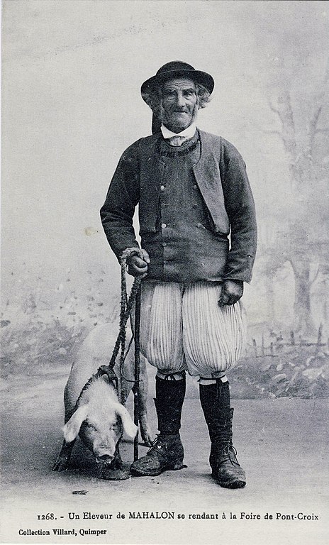 Carte postale ancienne Mahalon Eleveur à Mahalon
