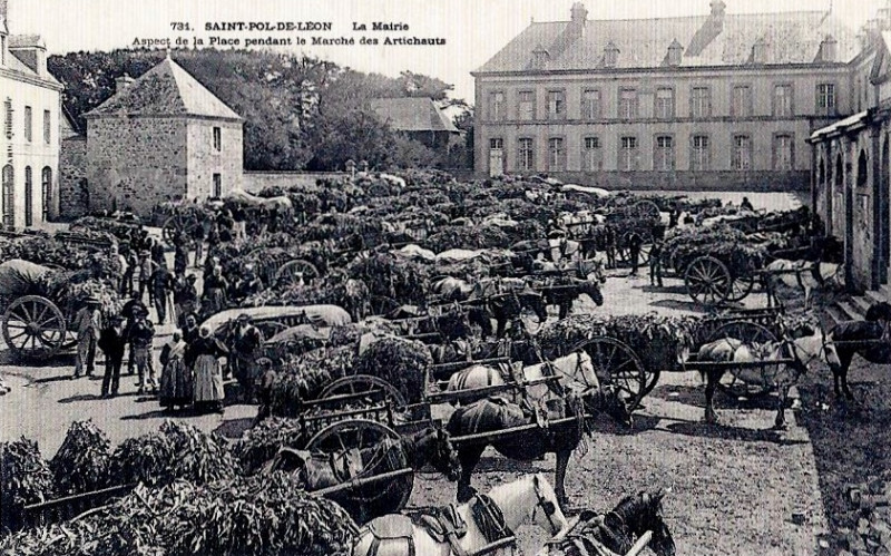 Carte postale ancienne Saint-Pol-de-Léon artichauts Villard à Saint-Pol-de-Léon