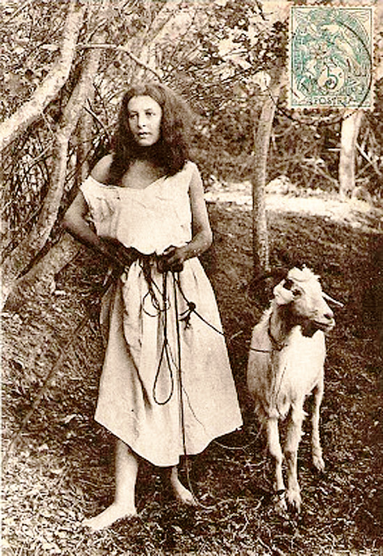 Carte postale ancienne Corse chevrière