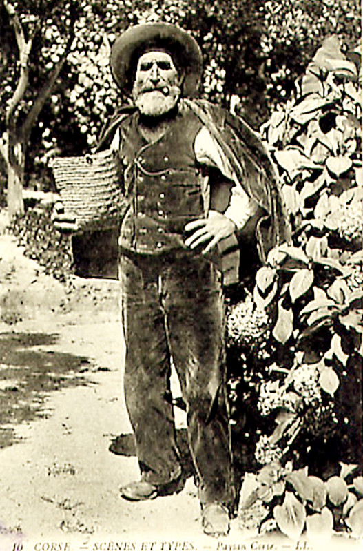 Carte postale ancienne Corse type de paysan