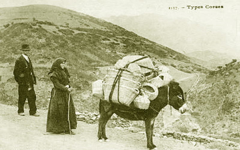 Carte postale ancienne Corse vendeurs de sacs