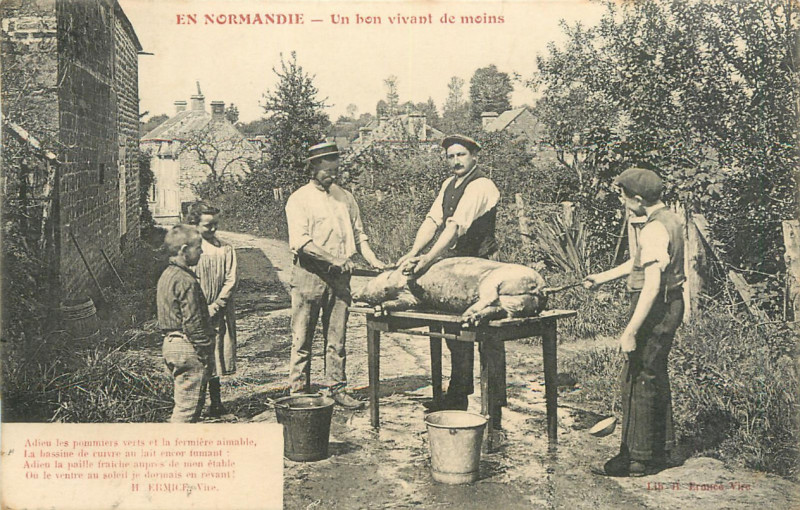 Carte postale ancienne Tuade du cochon en-Normandie