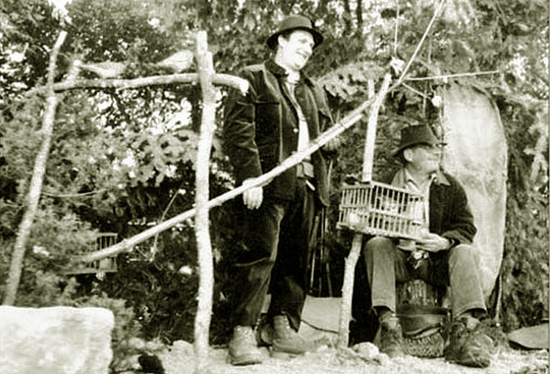 Carte postale ancienne Cages d'appelant en Provence