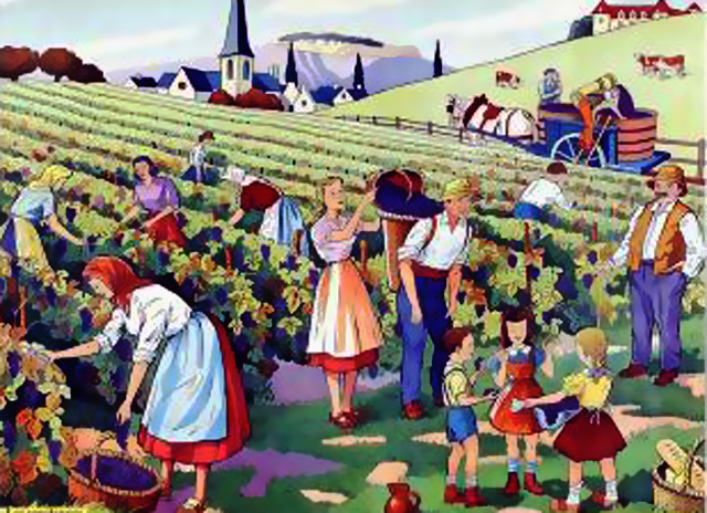 Carte postale ancienne Vendanges en pays allobroges