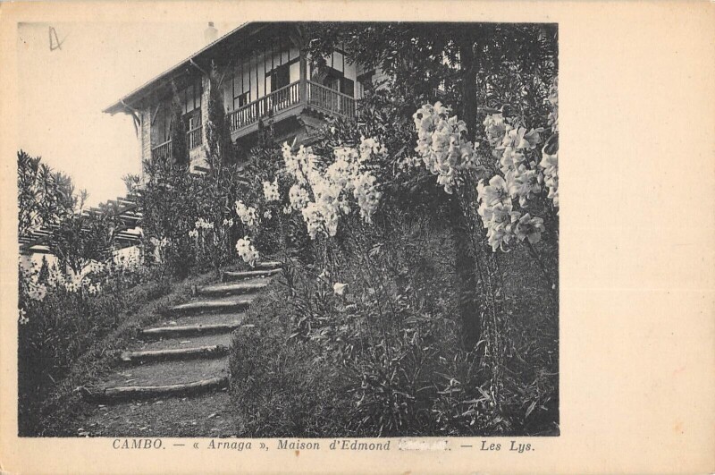 Carte postale ancienne Cambo Arnaga Maison D'Edmond Rostand Les Lys