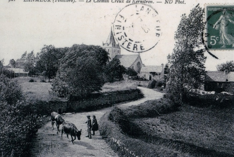Carte postale ancienne Retour des vaches à Ty Mélar à Lanmeur